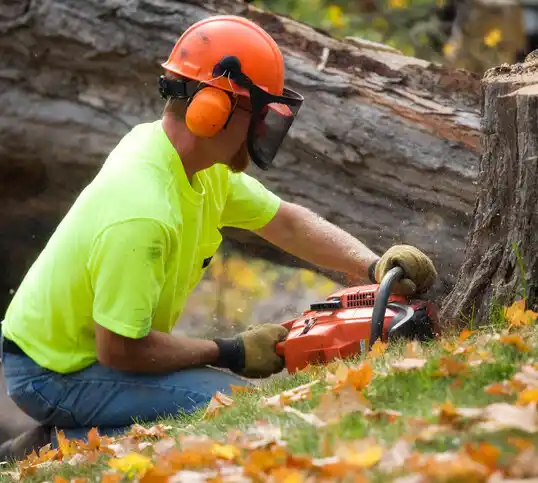 tree services Walnut Creek